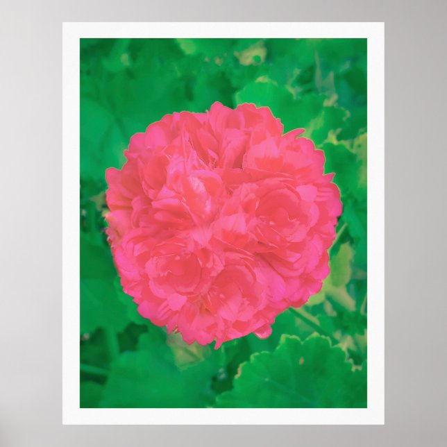 Lodrant Haven Botanical Print Poster (Framsidan)