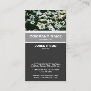 Lodrät Banded - Shasta Daisys Visitkort
