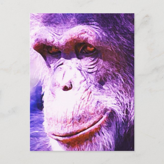 Lodrät Blue Tones Chimpanzans Head Postcard Vykort (Framsida)