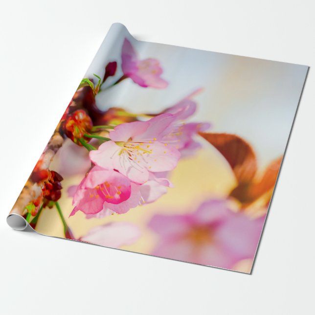 Lodrät-kluster av Sakurablommor Presentpapper (Utrullad)