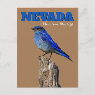 Lodrät Nevada Bluebird Vykort