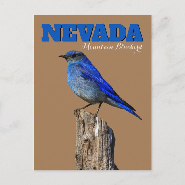 Lodrät Nevada Bluebird Vykort (Framsida)