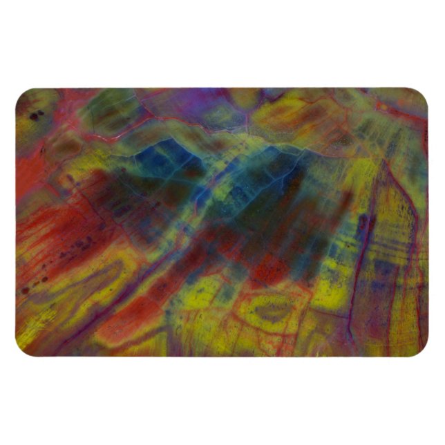 Lodrät Petrified Wood Magnet (Horisontell)