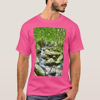 Lodrät Raring Fork Stream Underbar Smoky Mountains T Shirt