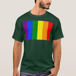 Lodräts regnbåge rand t shirt