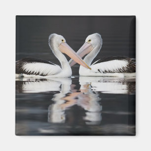 Lodrätt Vatten Pelican Reflection Magnet