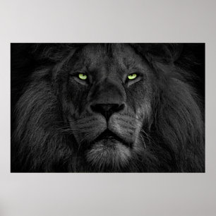 L'oeil du lejon poster