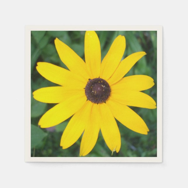 Loely Black Eyed Susan Pappersservett (Framsidan)