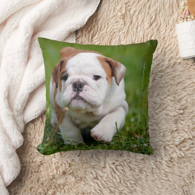Loely Bulldog Puppy Pillow Kudde (Filt)