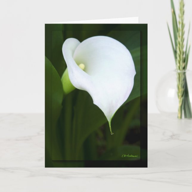 Loely calla lily kort (Framsida)