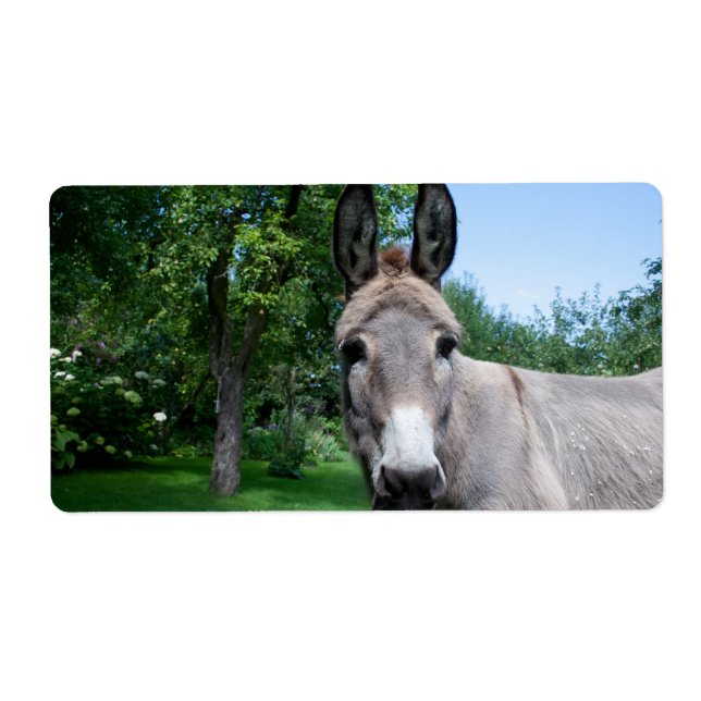 Loely Donkey Porträtt Fraktsedel (Framsidan)