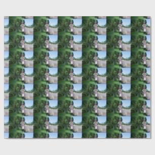Loely Donkey Porträtt Presentpapper