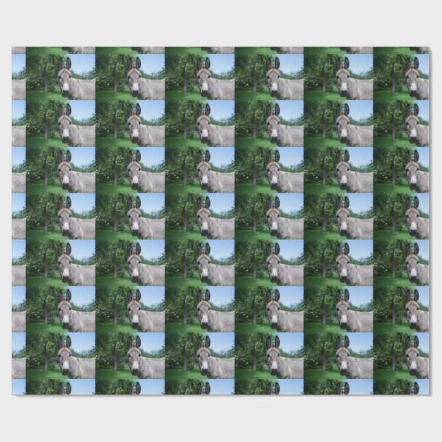 Loely Donkey Porträtt Presentpapper (Platt)