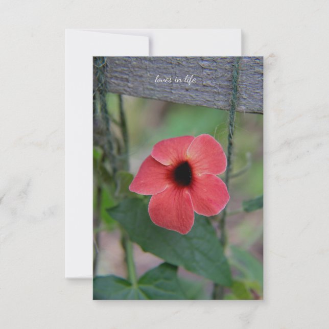 Loely Garden Vine Anteckningskort (Framsida)