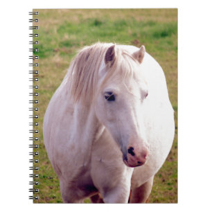 Loely Grått Pony Anteckningsbok Med Spiral