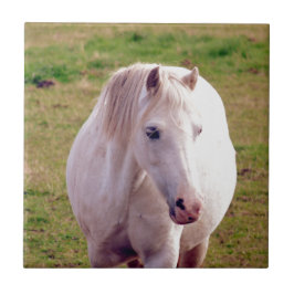 Loely Grått Pony Kakelplatta