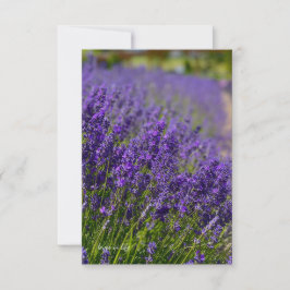 Loely Lavender Row Anteckningskort