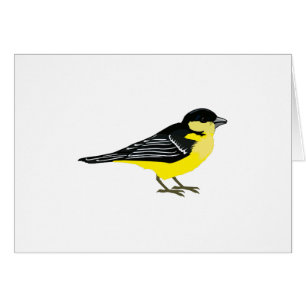Loely Lesser Goldfinch OBS Kort