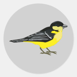 Loely Lesser Goldfinch Runt Klistermärke