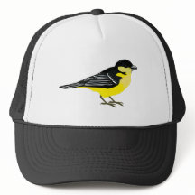 Loely Lesser Goldfinch