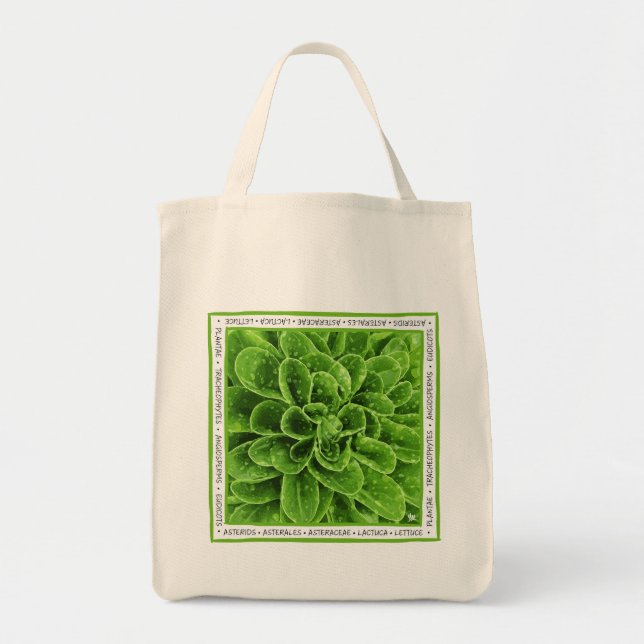 Loely Lettuce Tygkasse (Framsidan)