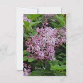 Loely Lilac Anteckningskort
