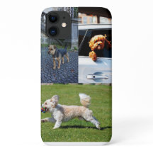 Loely Little Walky Hundar