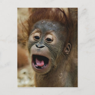 Loely Orang baby Vykort