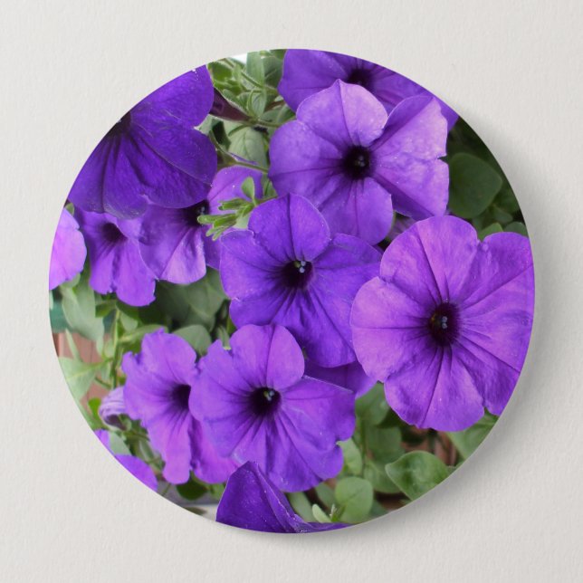 Loely Petunias Knapp (Framsida)