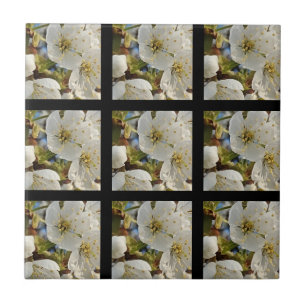 Loely Springblommor Grid Kakelplatta