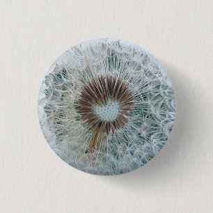Loely White Dandelion Knapp
