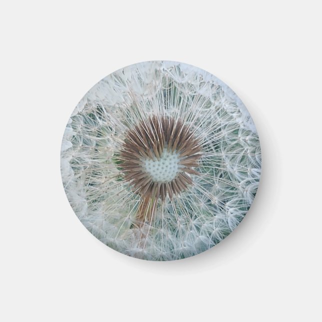 Loely White Dandelion Magnet (Framsidan)