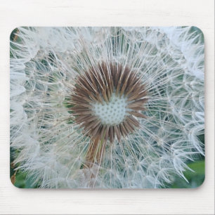 Loely White Dandelion Musmatta