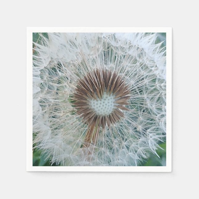 Loely White Dandelion Pappersservett (Framsidan)