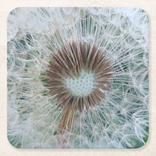 Loely White Dandelion Underlägg Papper Kvadrat