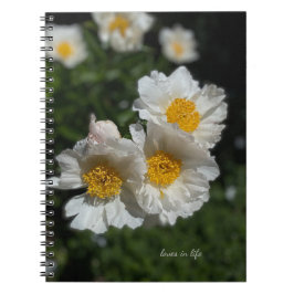 Loely White Peonies Anteckningsbok