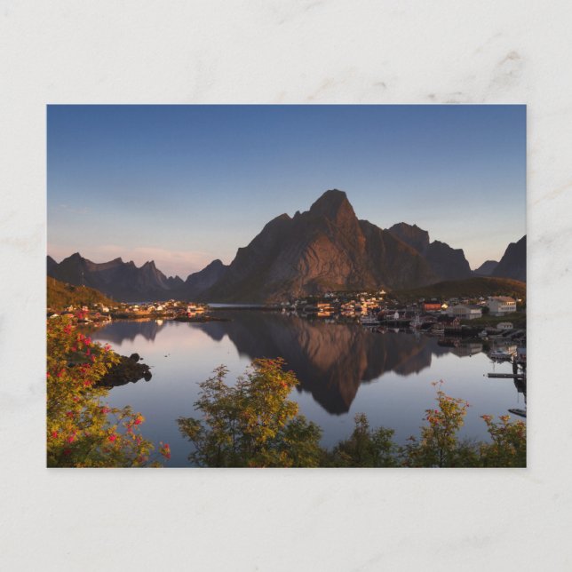 Lofoten - byte av vykort för återinförsel, ingen t (Framsida)