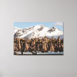 Lofoten Islands Stockfish Canvastryck