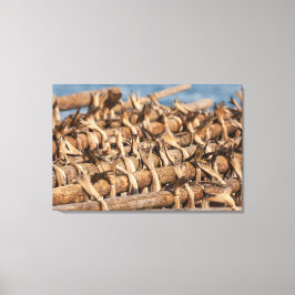 Lofoten Stockfish Canvastryck