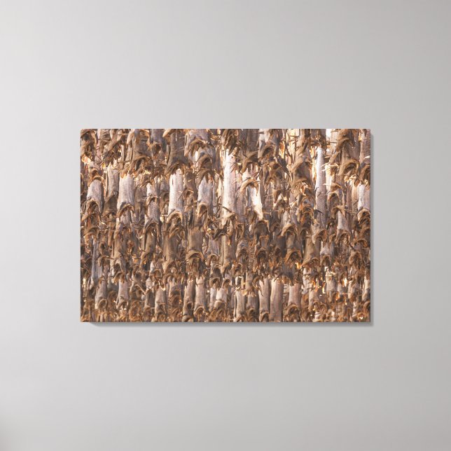 Lofoten Stockfish Canvastryck (Framsida)