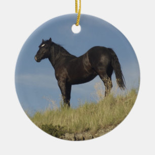Löfte Julgransprydnad Keramik