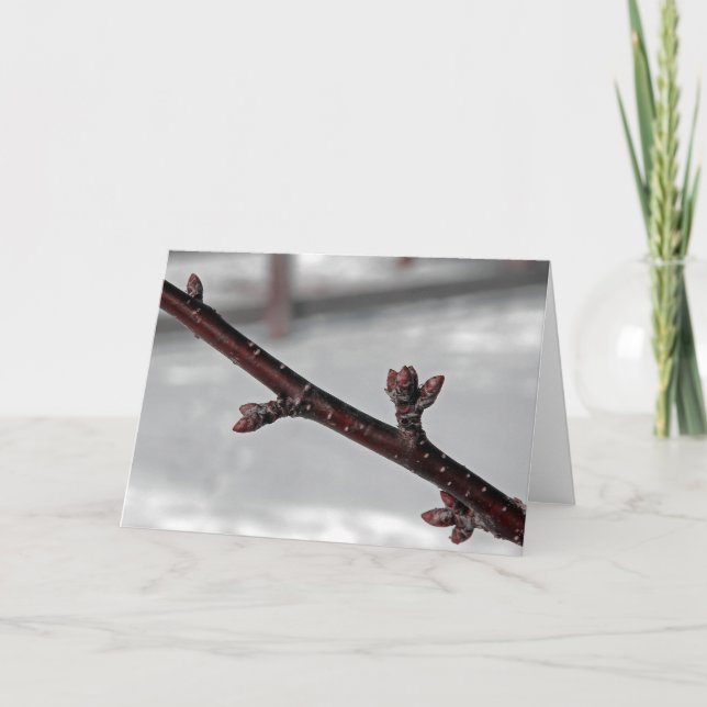 Löfte om Vår Kort (Framsida)