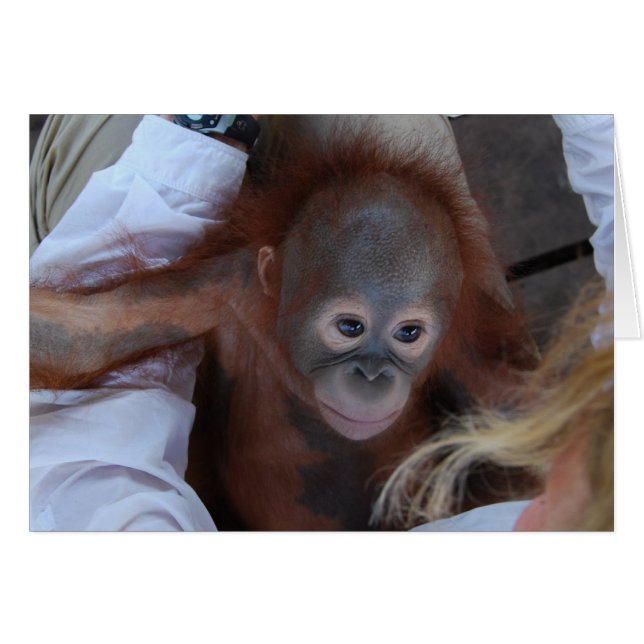 Löfte till vilda föräldralösa barn hälsningskort (Framsidan Horizontal)