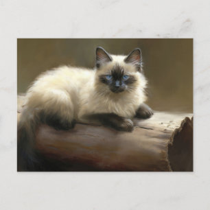 Log Lounger Siamese Kitten Vykort
