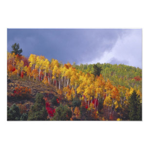 Logan Canyon i Utah på hösten med passerande Fototryck