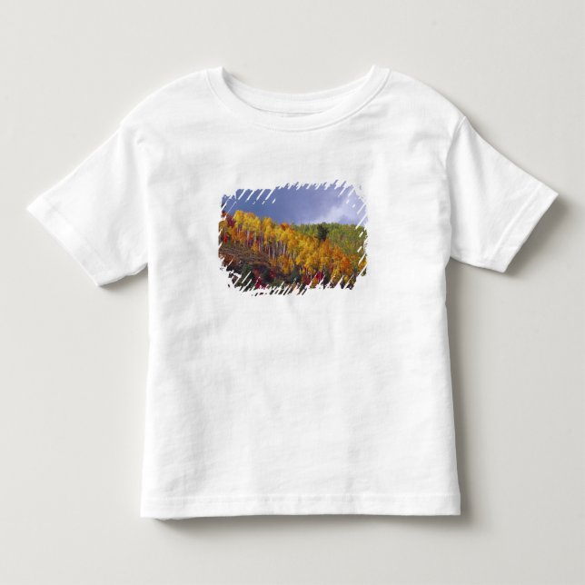 Logan Canyon i Utah på hösten med passerande Tee Shirt (Framsida)