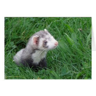 Logan Hälsningskort