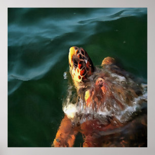 Logarhead Sea Turtle Artistic Porträtt Poster