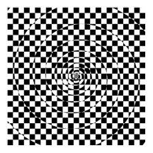 Logaritmisk Rutig Spiral Var. 2
