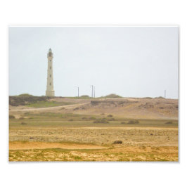 Logaritmisk stranddeeller, fyr konst fototryck